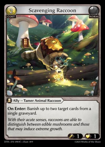 Scavenging Raccoon DTR-EN-090-Foil-Common (C) - Distorted Reflections - Grand Archive Card