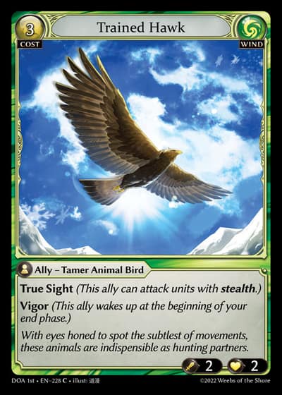 Trained Hawk DOA 1st-EN-228-Foil-Common (C) - Dawn of Ashes First Edition - Grand Archive Card