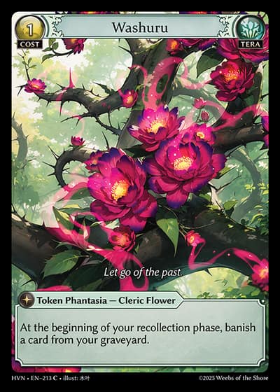 Washuru HVN-EN-213-Foil-Common (C) - Abyssal Heaven - Grand Archive Card